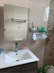 Parc Oasis (D22), Condominium #580054151